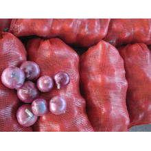 2016 Crop Red Onion (4-7CM)